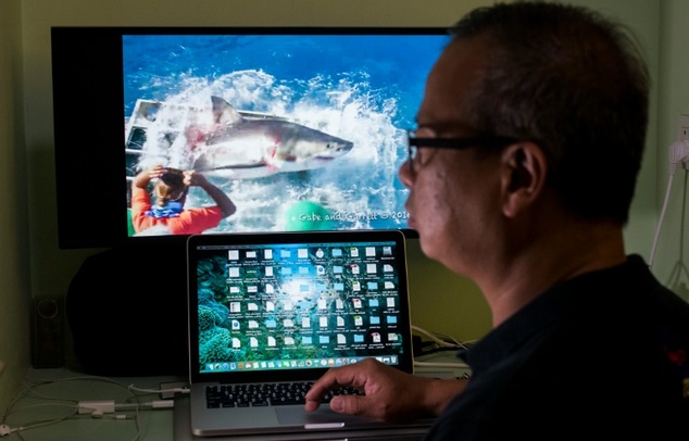 Chan Ming survived a close encounter with a great white shark while cage diving off Guadalupe Island, Mexico. AFP Photo