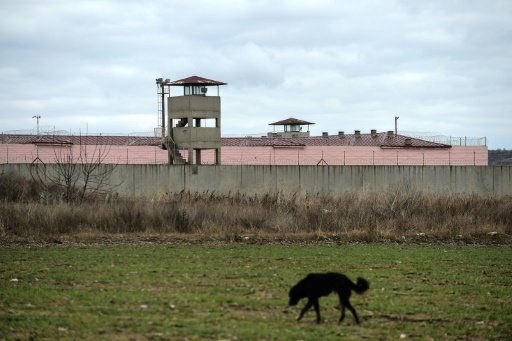 Questions about the depths of dog memory have stirred debate in the scientific community, by Kerry Sheridan | AFP photo