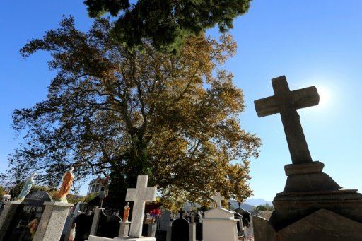 by Briseida Mema | The plane tree in the Rrmaj cemetery where it is believed that some of 38 martyrs of the catholic church have been executed during the communist regime on November 1, 2016 -AFP photo