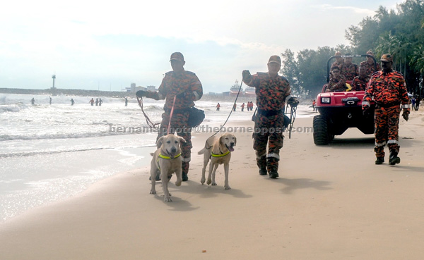 Canines from the Malaysian Fire and Rescue Department being taken around the beach. — Bernama photo