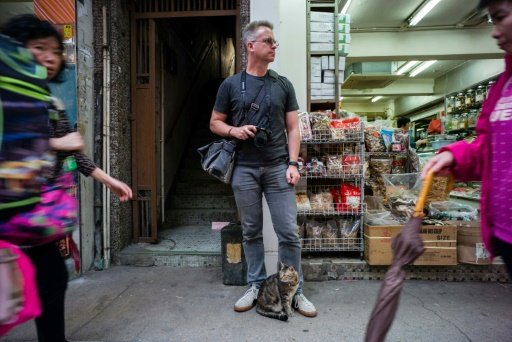 Hong Kong's cats are in the foreground of Dutch photographer Marcel Heijnen's (C) work but the pictures also record the territory's traditional shops - AFP