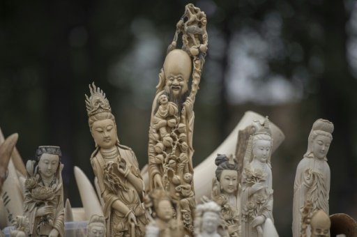 China has a stockpile of ivory purchased with CITES approval in 2008, which it releases for sale with certification. AFP File Photo