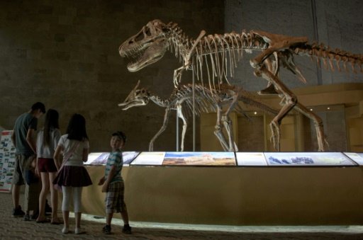 People visiting a museum in Ulan Bator displaying dinosaur fossils returned from overseas. - AFP Photo