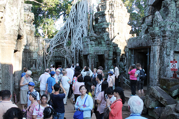 Inside Ta Prohm Temple — a location for the film — The Tomb Raider.