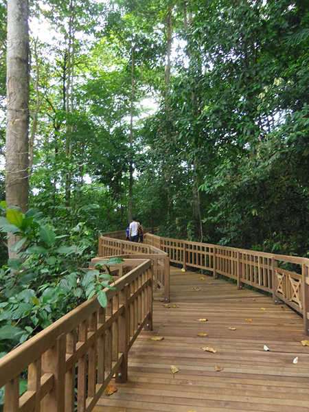 Visitors walk along the beautiful wooden walkways.