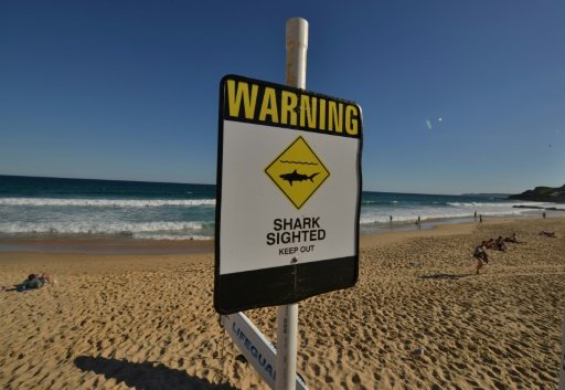 A man who was pulled from his boat as he tried to land a large fish survived for six hours in shark-infested waters off Western Australia. - AFP