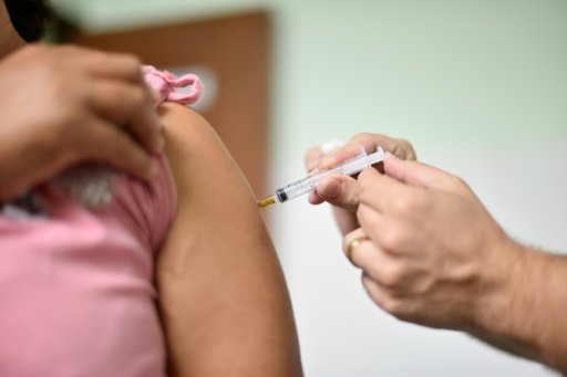 Eugenia LOGIURATTO | People line up to receive the yellow fever vaccine at a public health post in Caratinga, in the southeastern state of Minas Gerais, Brazil, on January 13, 2017 -AFP photo file