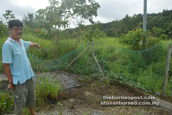 Tay points to the fence damaged by the thieves to gain entry. 