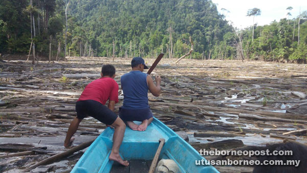 Two men figuring out a way to navigate through the log jam in the upper reaches of the Balui River recently.