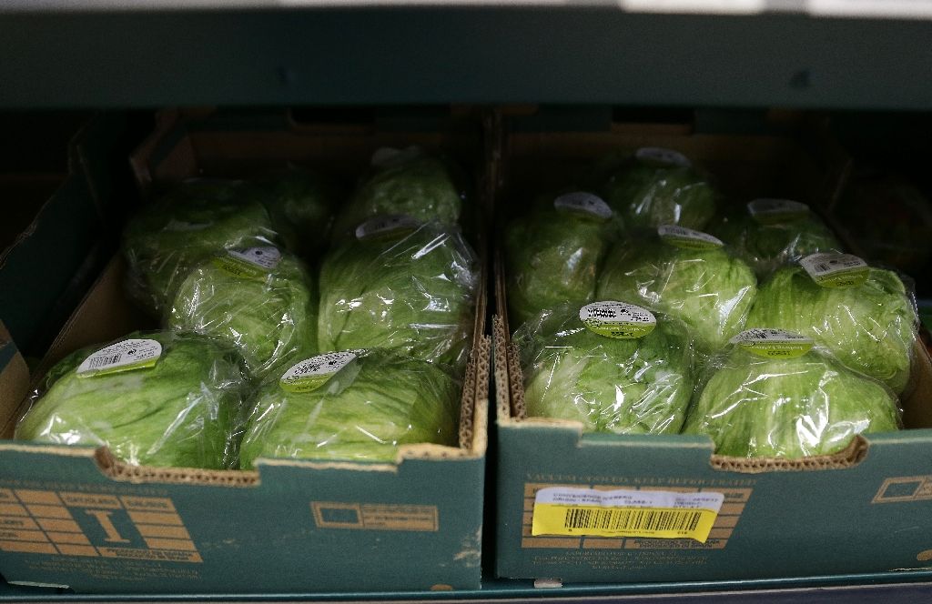 British supermarkets are rationing iceberg lettuces and other vegetables due to bad weather in southern Europe. AFP Photo