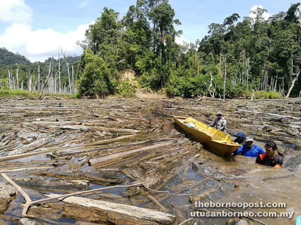 A picture taken on Jan 13 of a log jam at Sungai Paran, a tributary of Balui River where communication is almost impossible. — Photo by Chimon Upon