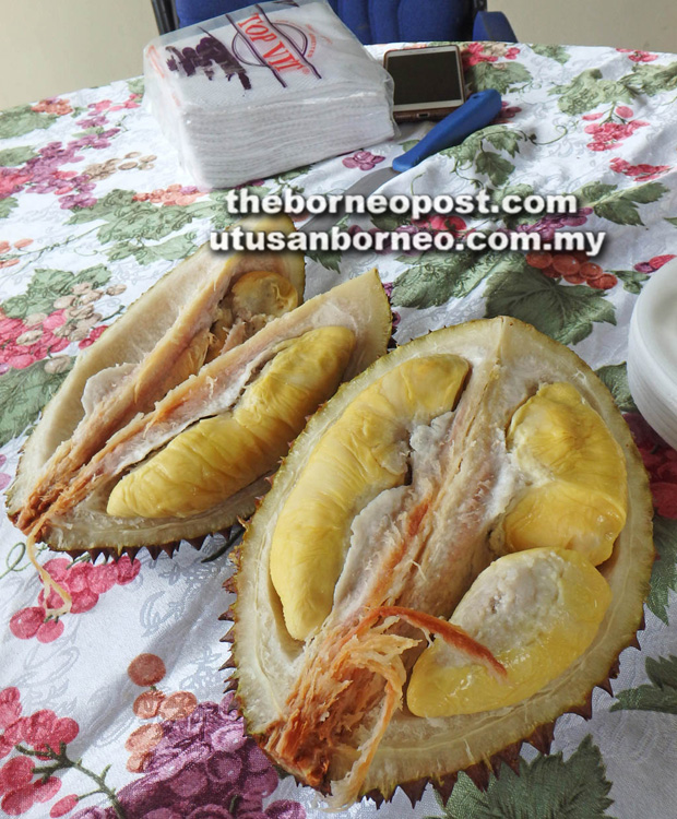 Durian duri hitam vs musang king