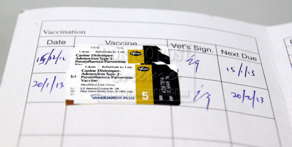 MEDICAL HISTORY: Pet owner given a card that records what his pet has been vaccinated against.