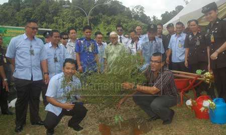 PULIHARA ALAM: Hasbi (kanan) dan Charin (kiri) menanam pokok payung pada Program Penanaman Sejuta Pokok di Limbang semalam.