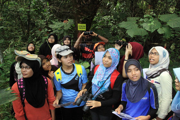 Unimas undertaking study on hornbills | Borneo Post Online
