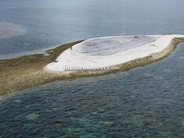 View of the floating coral at Luconia Shoals.   