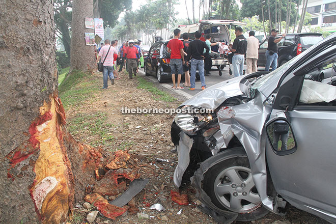 The impact of the crash wrecked the front part of the car and peeled the bark off the lower part of the tree.