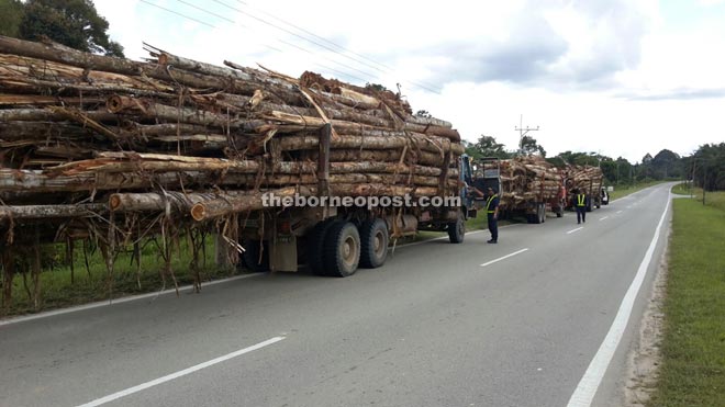 Overloading and dangerous loading of logs is a common sight along Bakun Road.