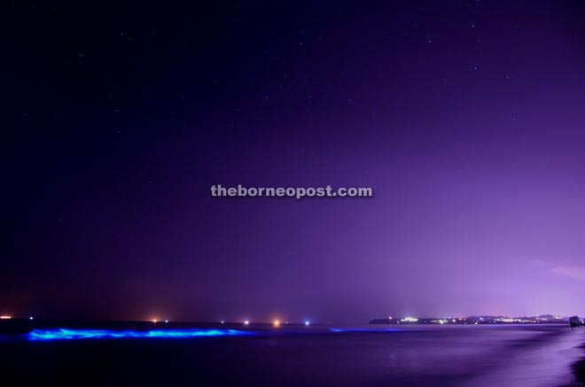 The striking neon blue effect is a result of the bioluminescence of plankton in the waters.
