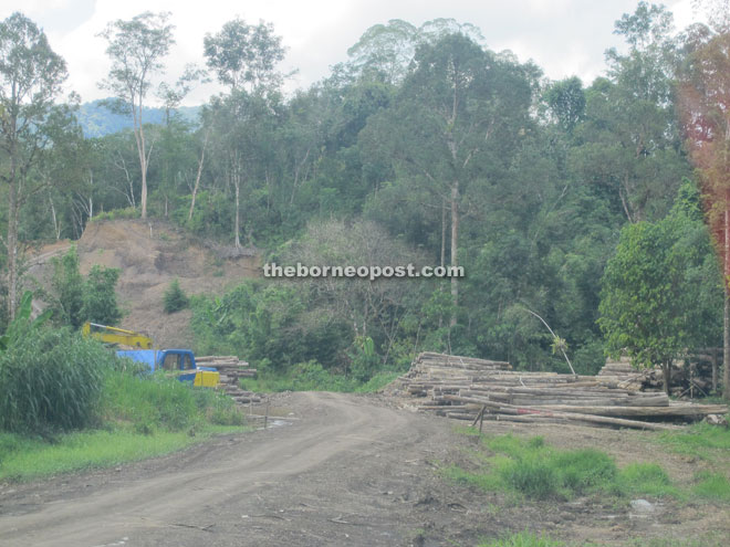 About 2km away from the main road of Semadang-BRS Road, there is a log pond where heavy machinery is also spotted.