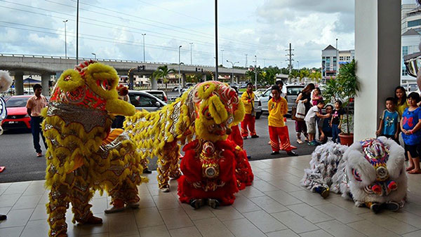 The traditional lion dance is normally performed during festivals of the Chinese community.