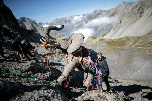 AFP/File | Volunteers recreate Hannibal's epic campaign in 218 BC on the Cavalla Pass, in the Maira Valley, near Cuneo and the French border, on August 21, 2014 