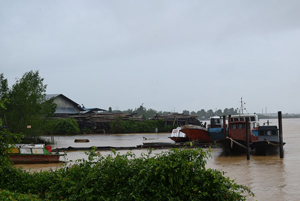 Image result for Lee Hua Sawmill, Sibu