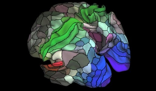 This image released by Nature on July 20, 2016 shows a map of myelin content (red, yellow are high myelin, indigo and blue are low myelin) in the left hemisphere of cerebral cortex by Mariette Le Roux | AFP photo