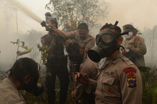 Indonesian police and firefighters extinguish a fire on burning peat land in Central Kalimantan province on Borneo island. Photo by AFP