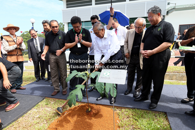 Adenan planting a tree to commemorate the launching SBC’s Integrated Biodiversity Research Building. Seen from left are Len Talif, Yeo, former deputy chief minister Datuk Patinggi Tan Sri Alfred Jabu Numpang and Morshidi (right). 