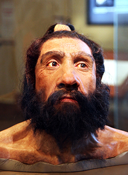 A model of a Neanderthal adult male is seen in the Smithsonian Museum of Natural History in New York.