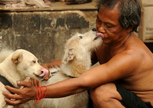 Experiments involving several hundred dogs, and a sweeping analysis of their genomes, uncovered a handful of genetic variants clearly linked to canines being friendly with humans -by Marlowe HOOD | AFP photo