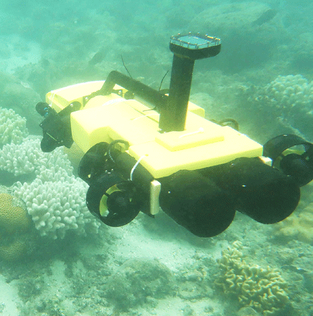 Australia unveils starfish-killing robot to protect Great Barrier Reef