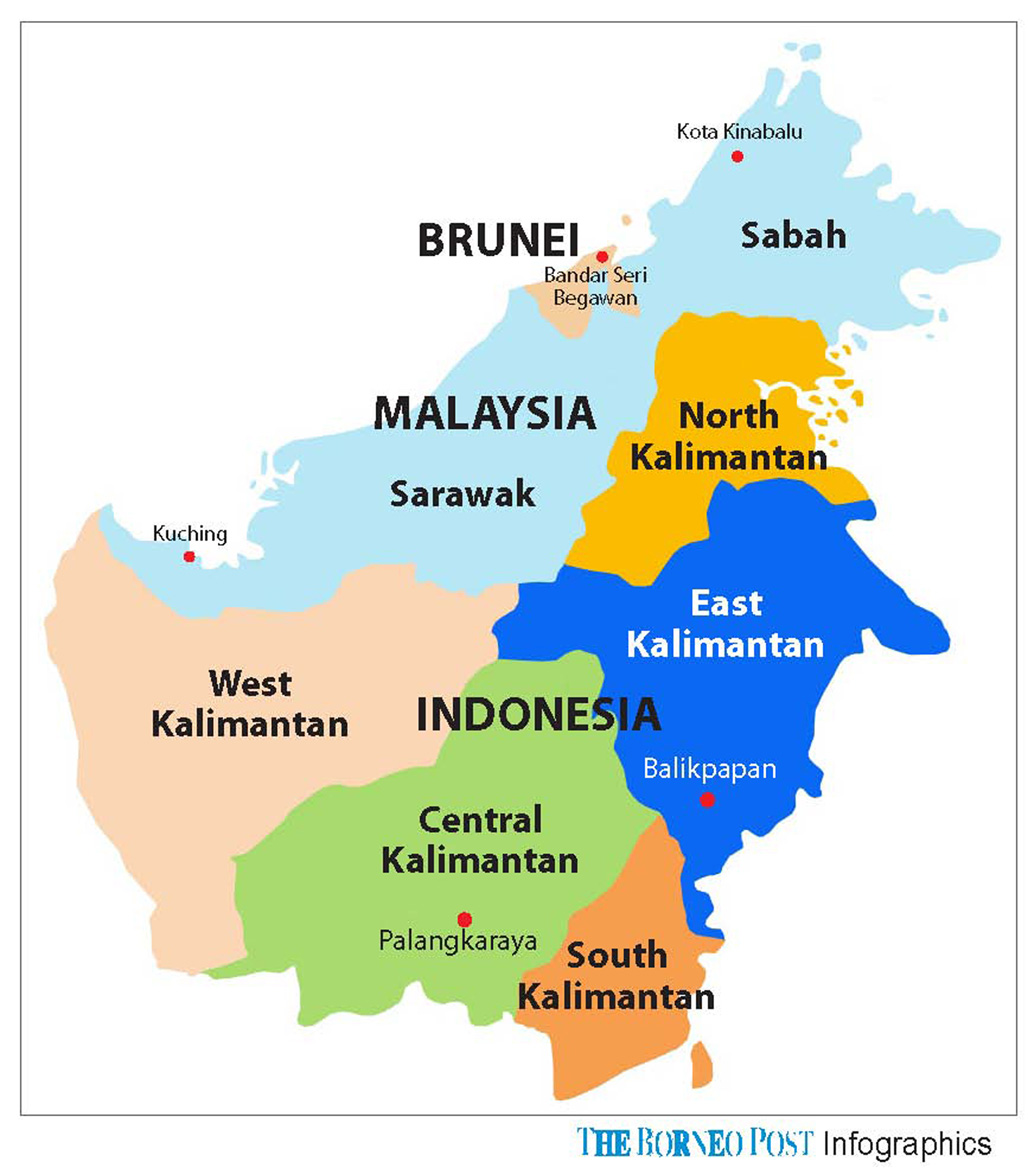 Jokowi scouts sites in Kalimantan  for new capital Borneo 