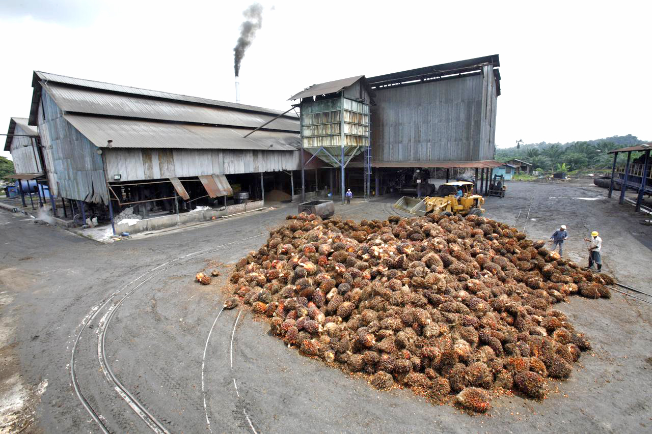 Malaysia Could Replace Indonesia As Top Palm Oil Supplier To India Borneo Post Online