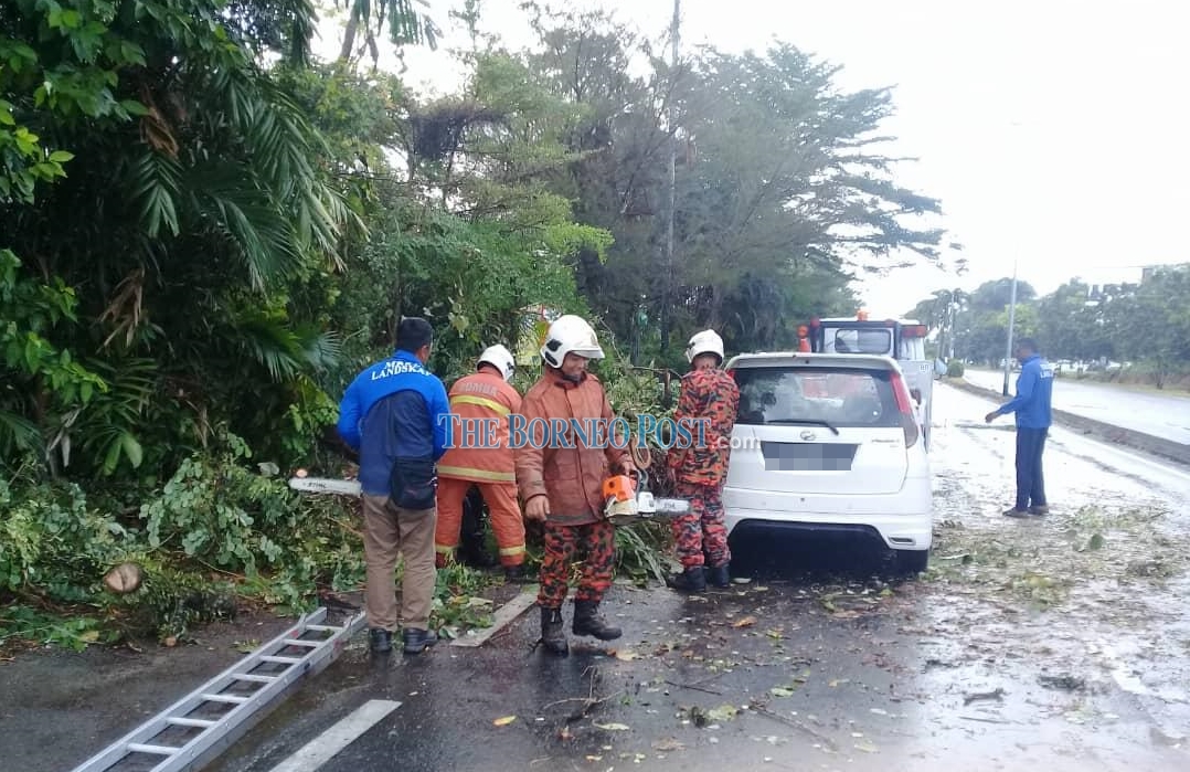 Strong winds causes tree to fall onto passing vehicle at 