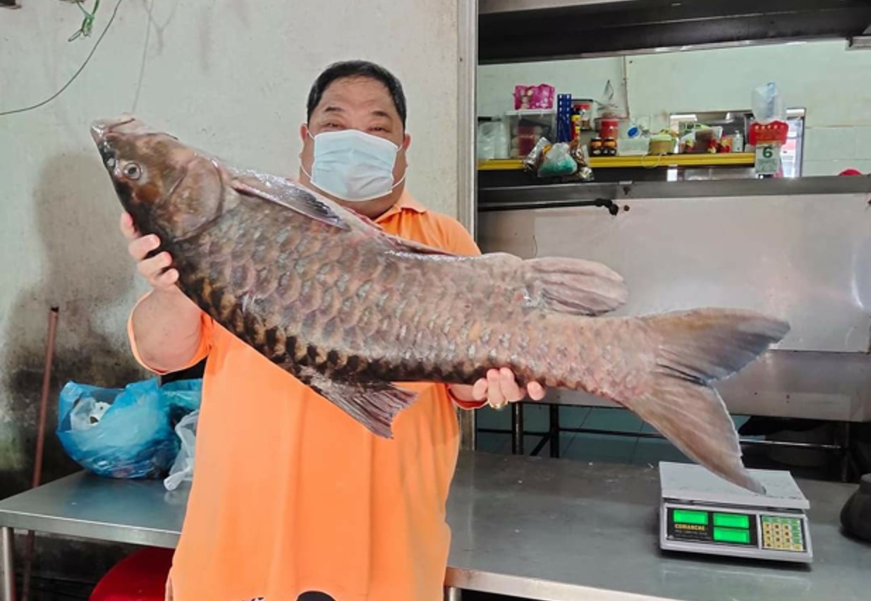 Ulu Sg Katibas pêcheur débarque 15kg empurau