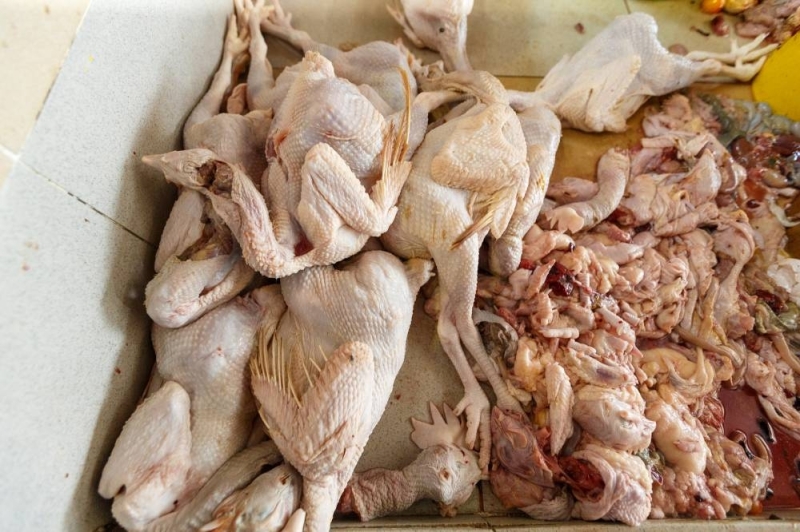 La plupart des fermes avicoles prêtes à fournir des poulets au marché