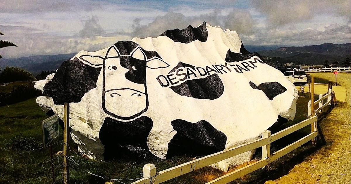 Desa Dairy Farm réfute l’allégation selon laquelle elle ne se soucie que des profits