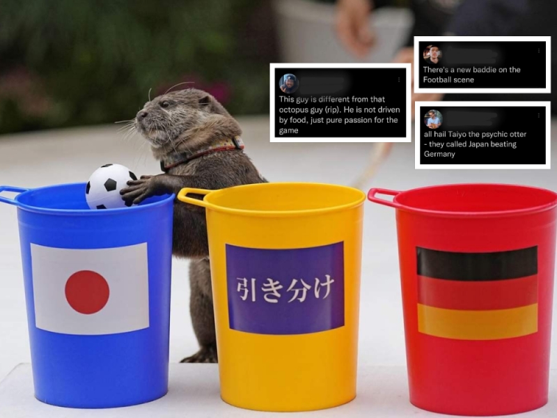 Une loutre du parc aquatique reçoit des éloges en ligne pour avoir prédit la victoire du Japon lors du match de la Coupe du monde au Qatar