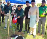 Sarawak achieves target of planting 30 pct of 100 million trees in greening programme